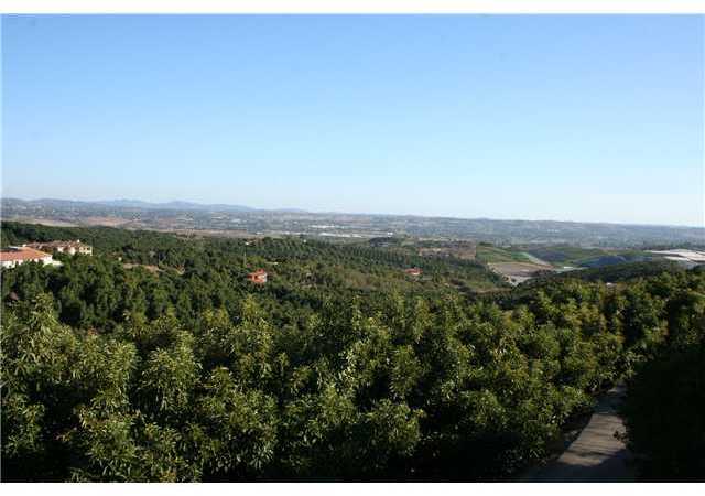 1035 Sleeping Indian Road Oceanside, CA 92057 - Photo 24 of 25 Here's a view from up the road on Sleeping Indian looking back over So Morro Hills. Quiet, lush and less than 10 miles to the coast.