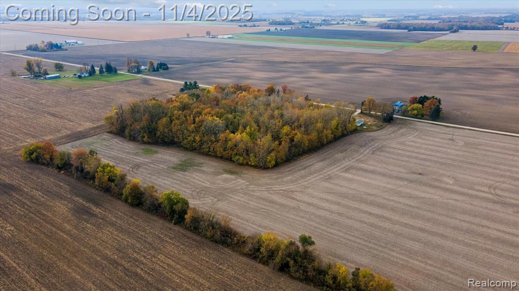 9200 Platt Road Dundee, MI 48131 - Photo 22 of 28