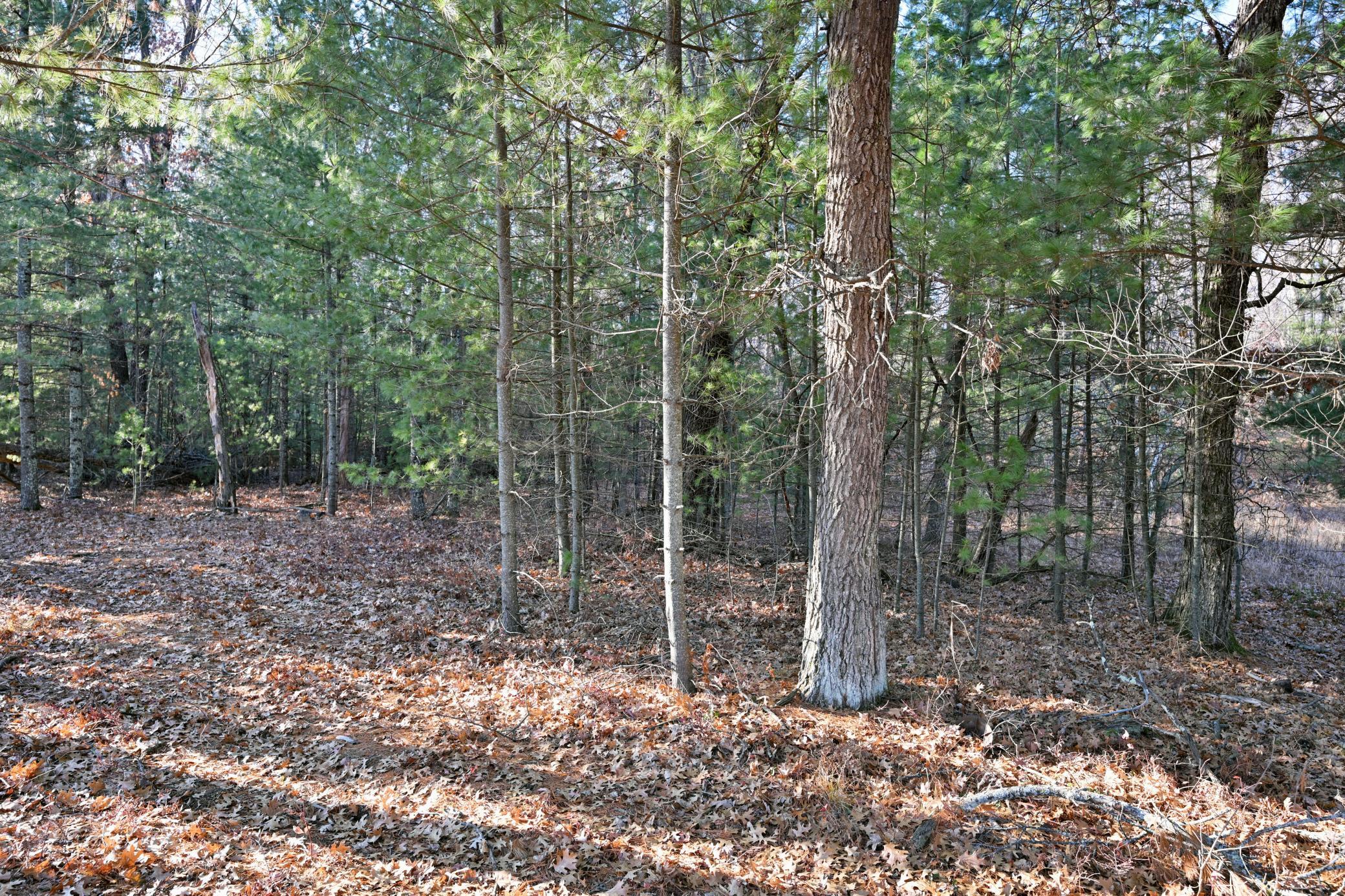 Lot 3 North Bass Lake Road Webster, WI 54893 - Photo 7 of 15