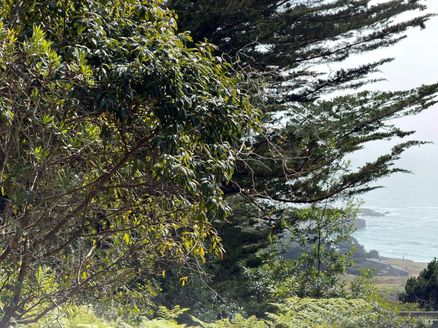 76 Compass Close The Sea Ranch, CA 95497 - Photo 14 of 29