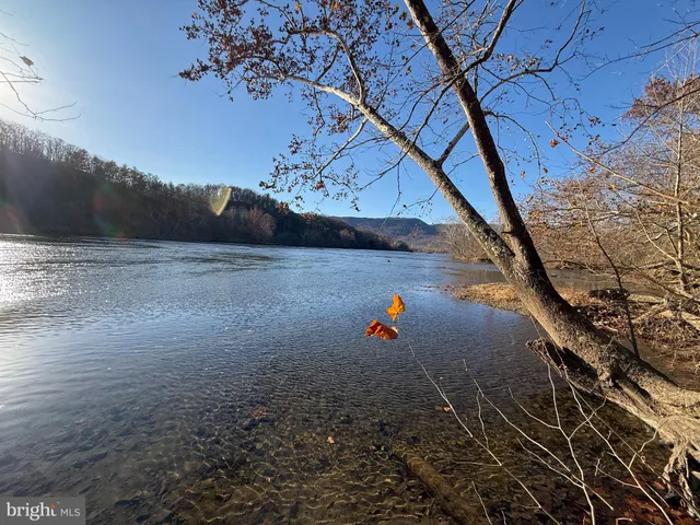 a view of a dry yard