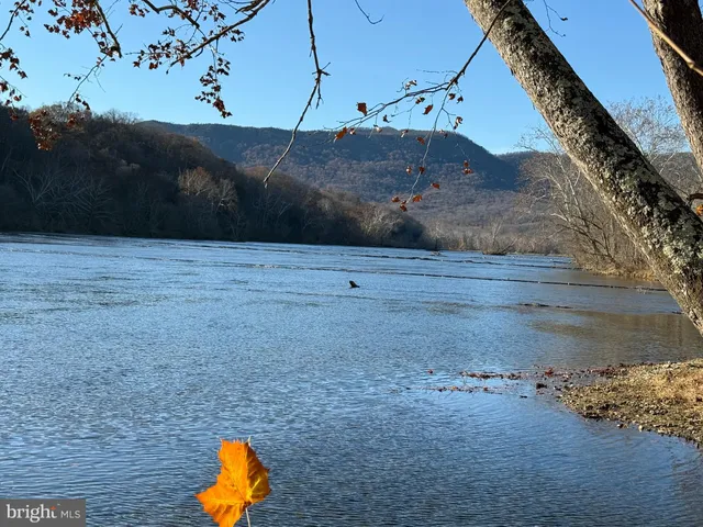 a backyard of a house with lots of green space and a water fountain
