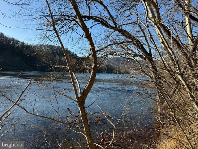 a view of a backyard of the house