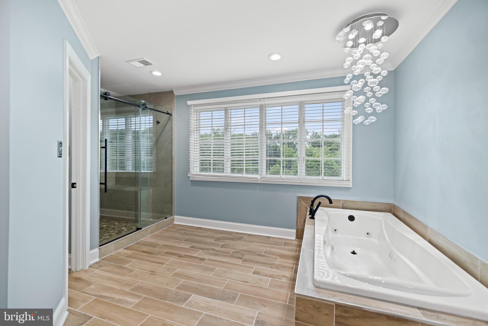 12621 High Meadow Road North Potomac, MD 20878 - Photo 18 of 38 Jetted Tub, Oversized Jet & Rainfall Shower System