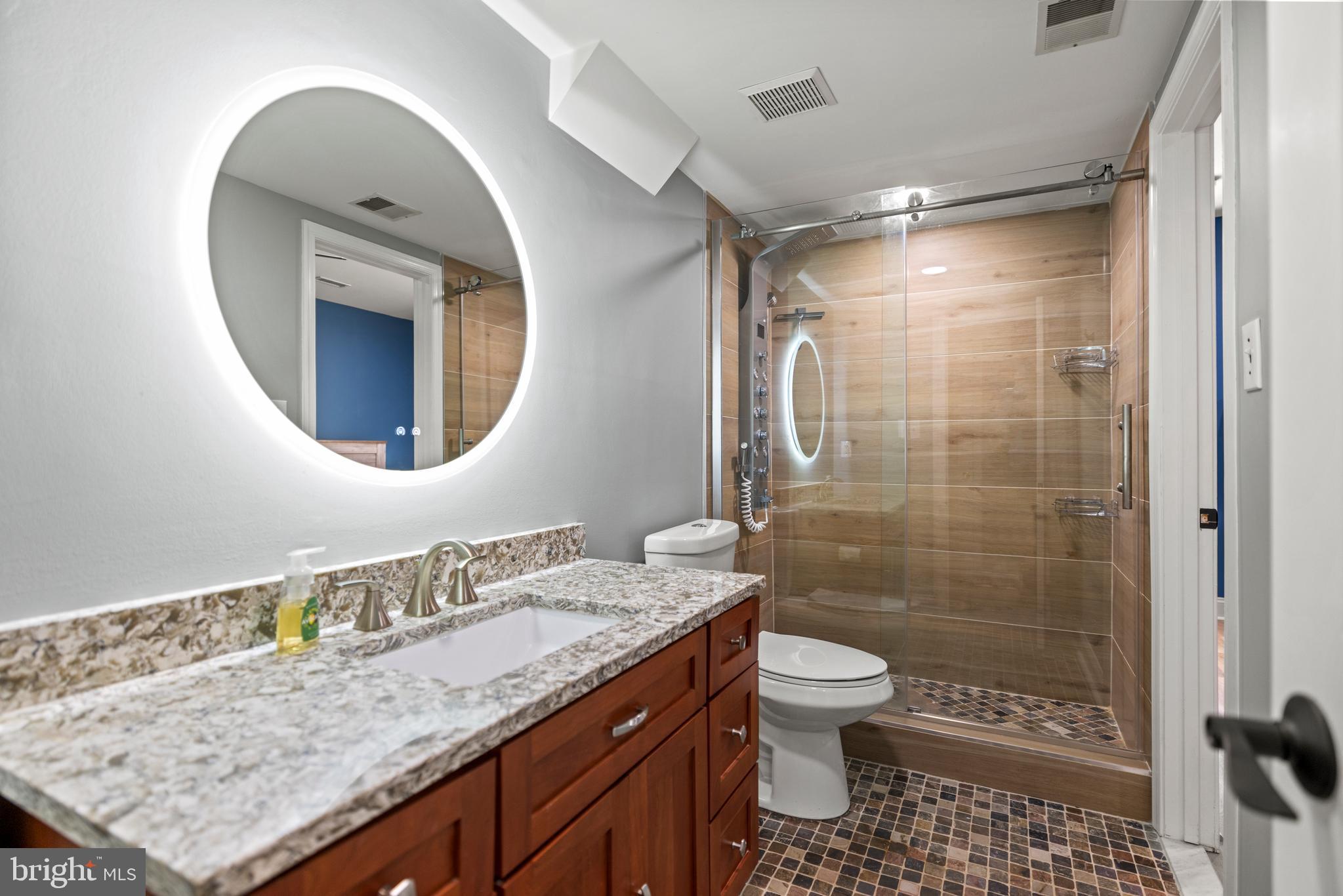 12621 High Meadow Road North Potomac, MD 20878 - Photo 31 of 38 Lower Level Designer Bathroom