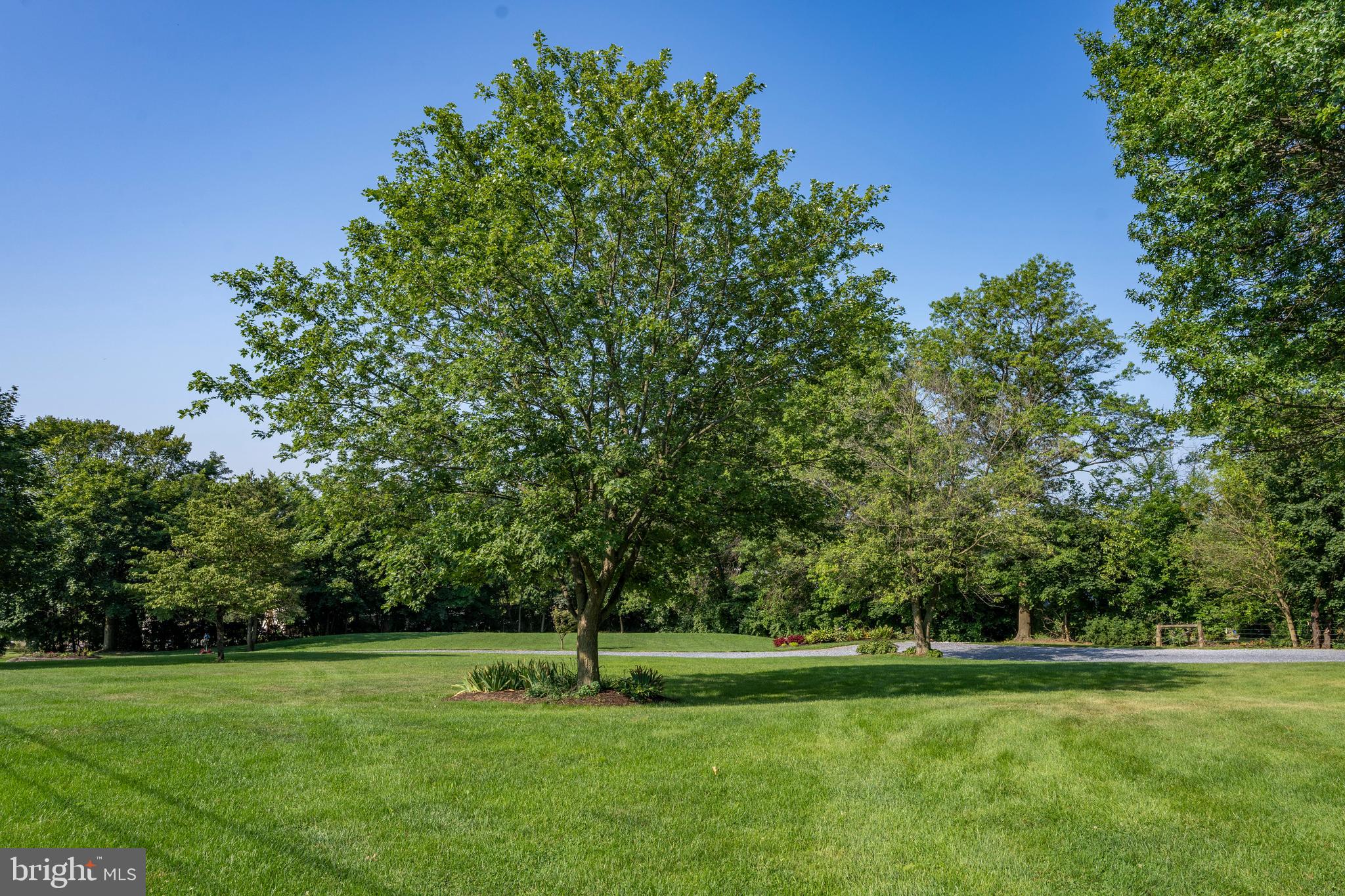 556 East Pleasantview Road Manheim, PA 17545 - Photo 16 of 93