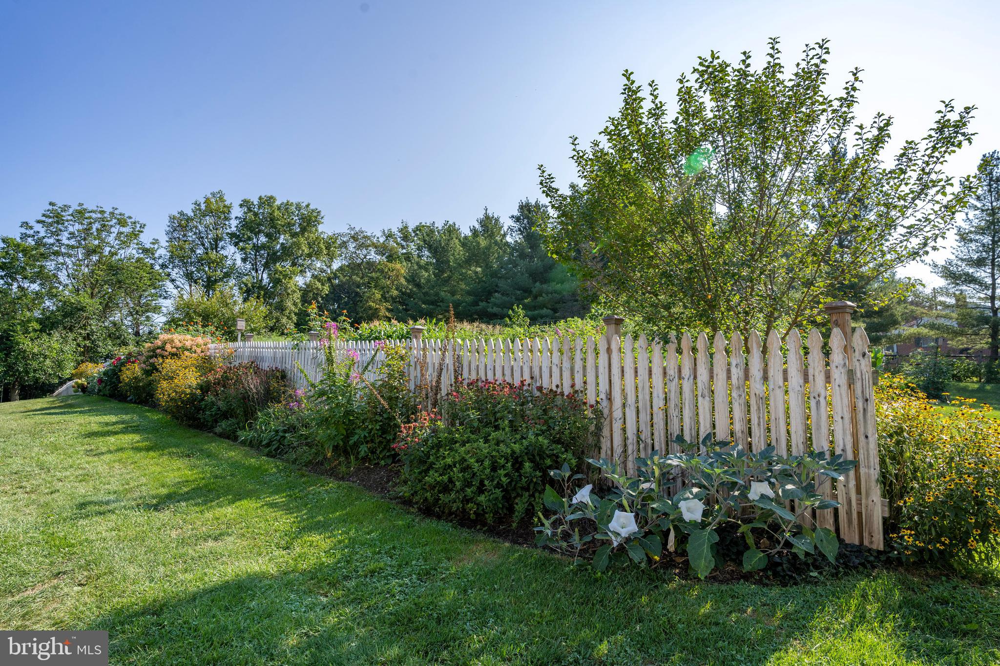 556 East Pleasantview Road Manheim, PA 17545 - Photo 18 of 93
