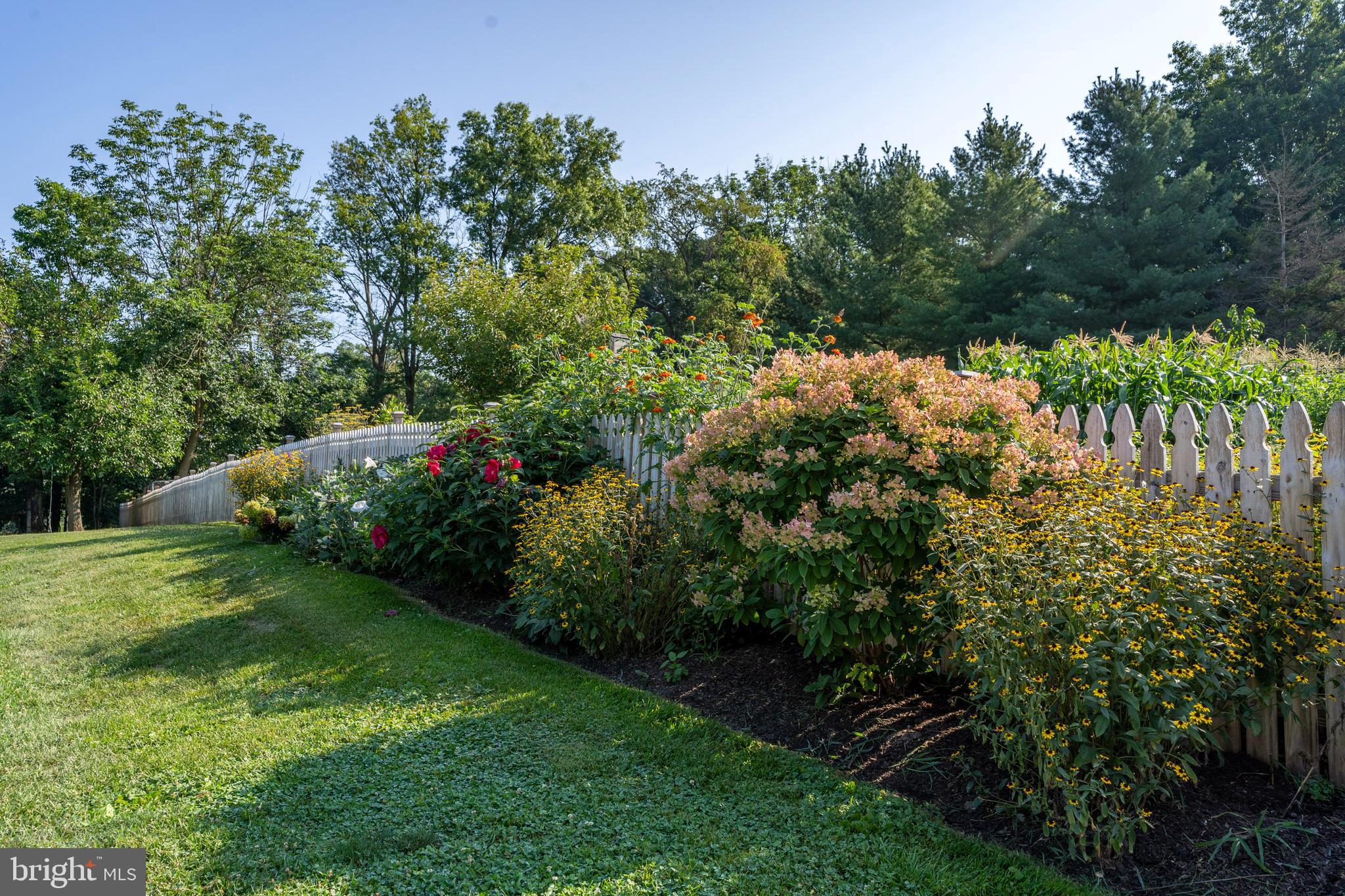 556 East Pleasantview Road Manheim, PA 17545 - Photo 19 of 93 a view of a garden with plants