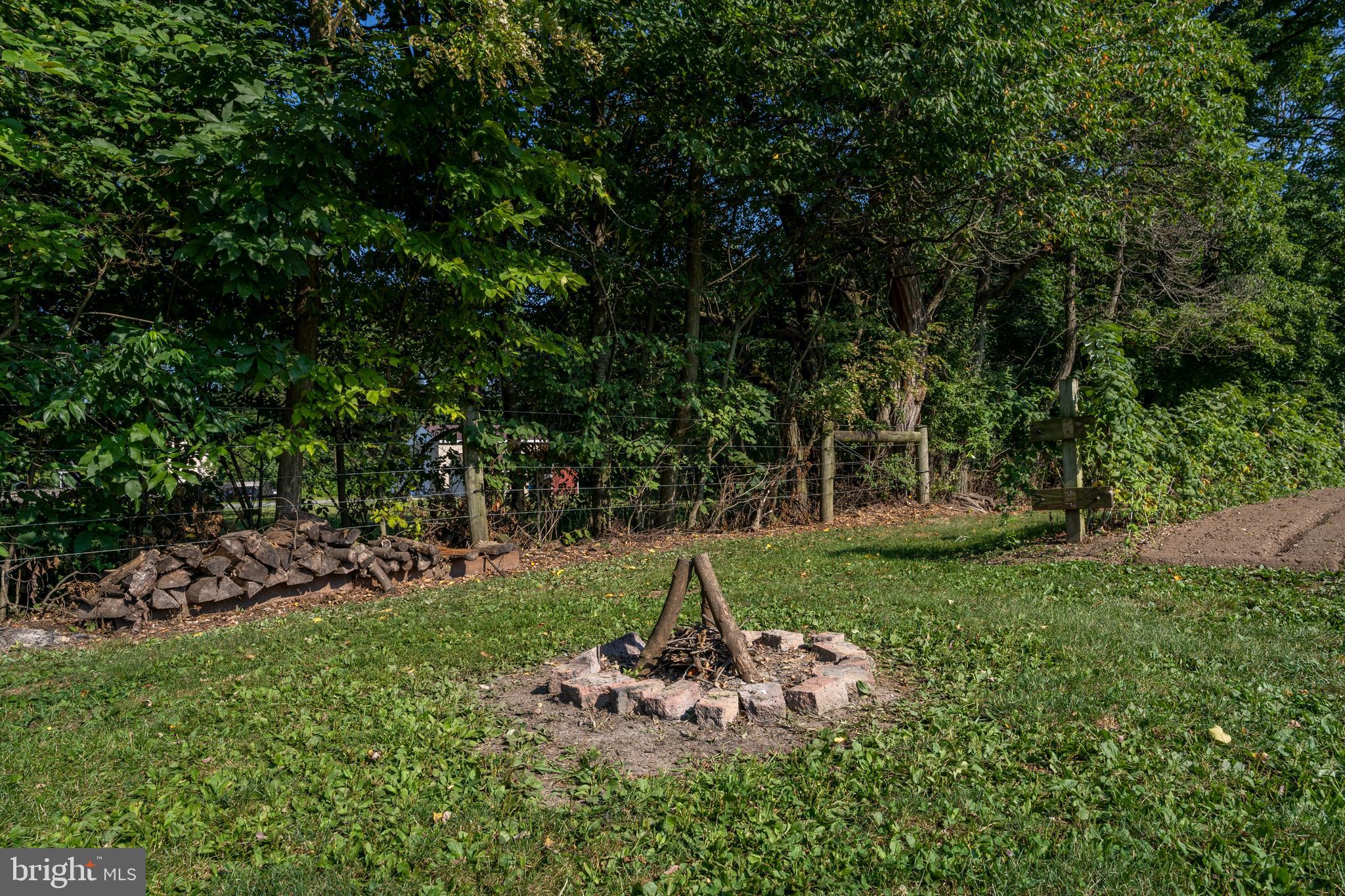 556 East Pleasantview Road Manheim, PA 17545 - Photo 37 of 93 a view of a backyard with lawn chairs and a large tree