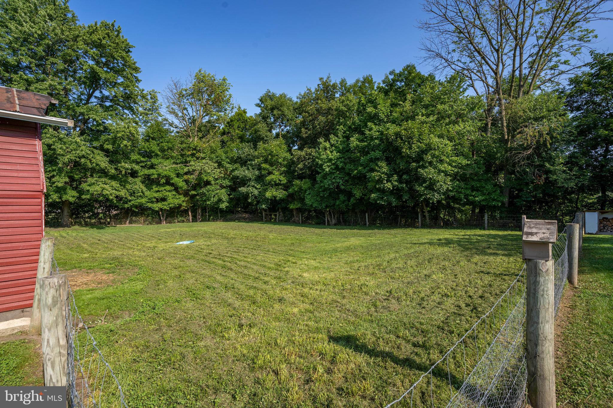 556 East Pleasantview Road Manheim, PA 17545 - Photo 42 of 93 a view of a yard with a tree