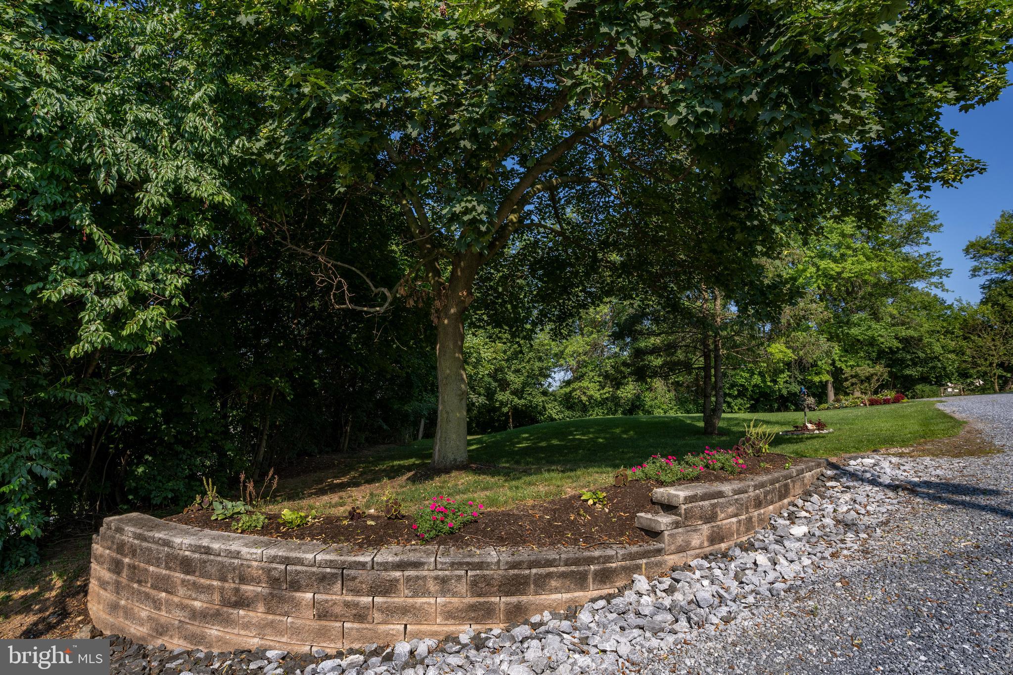 556 East Pleasantview Road Manheim, PA 17545 - Photo 46 of 93 a view of a backyard