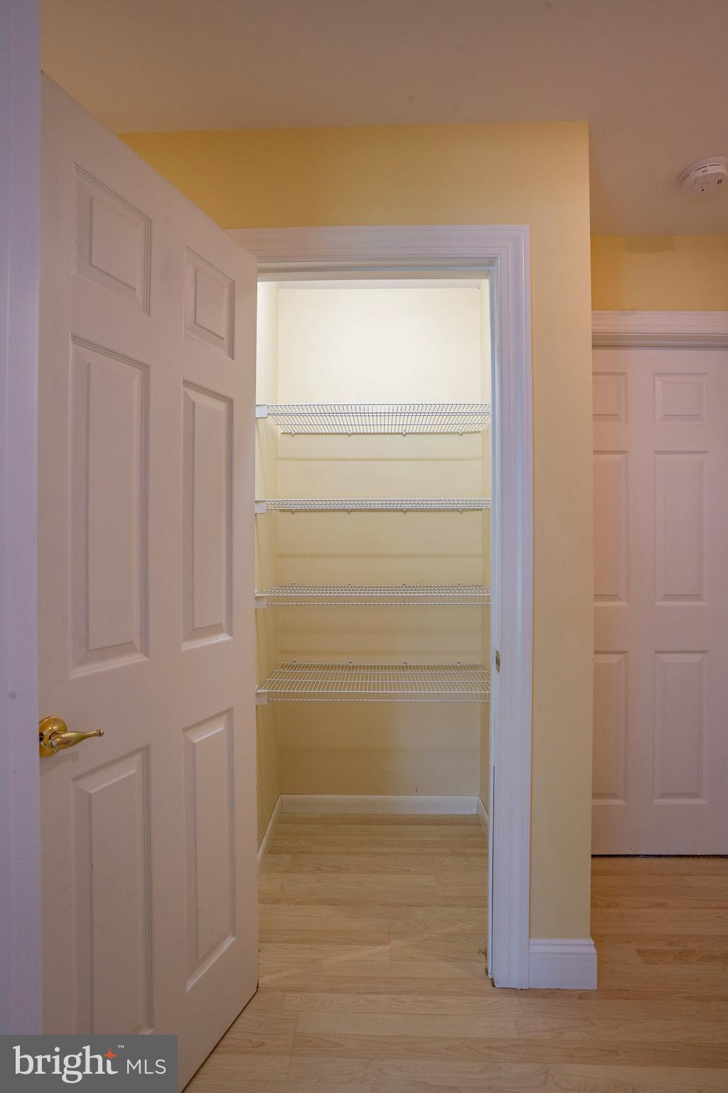 556 East Pleasantview Road Manheim, PA 17545 - Photo 63 of 93 a view of walk in closet