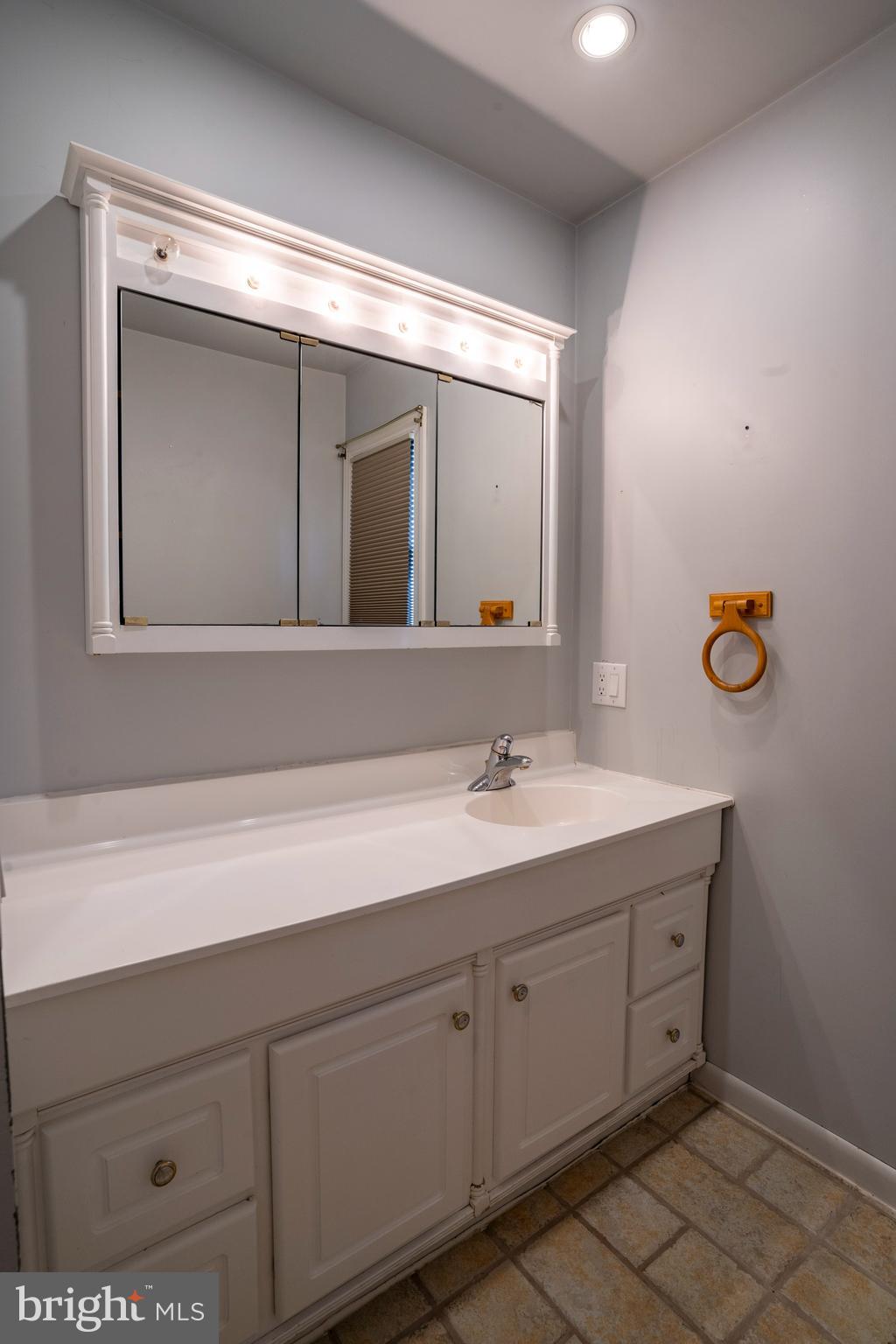 556 East Pleasantview Road Manheim, PA 17545 - Photo 67 of 93 a bathroom with a sink and two mirror
