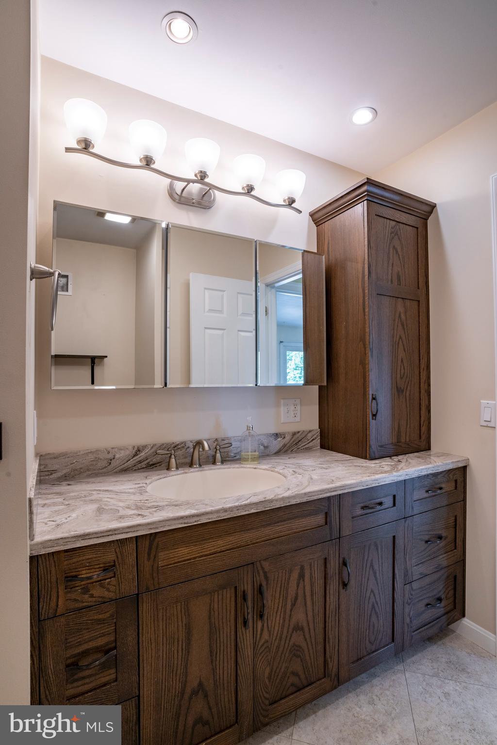 556 East Pleasantview Road Manheim, PA 17545 - Photo 77 of 93 a bathroom with a granite countertop sink and a mirror