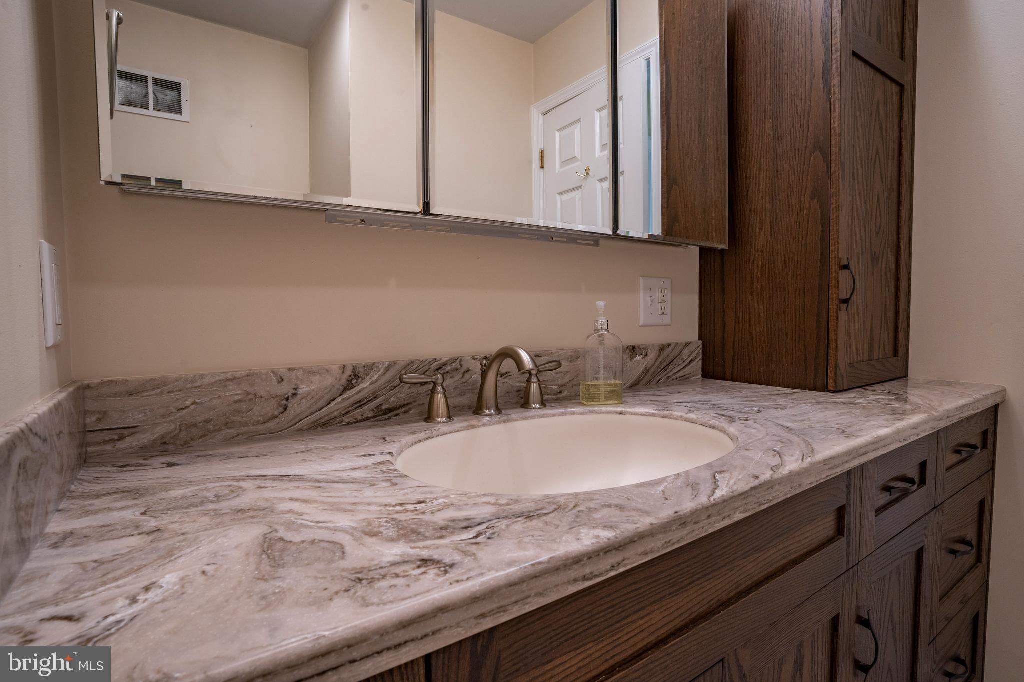 556 East Pleasantview Road Manheim, PA 17545 - Photo 78 of 93 a bathroom with a granite countertop sink and a mirror