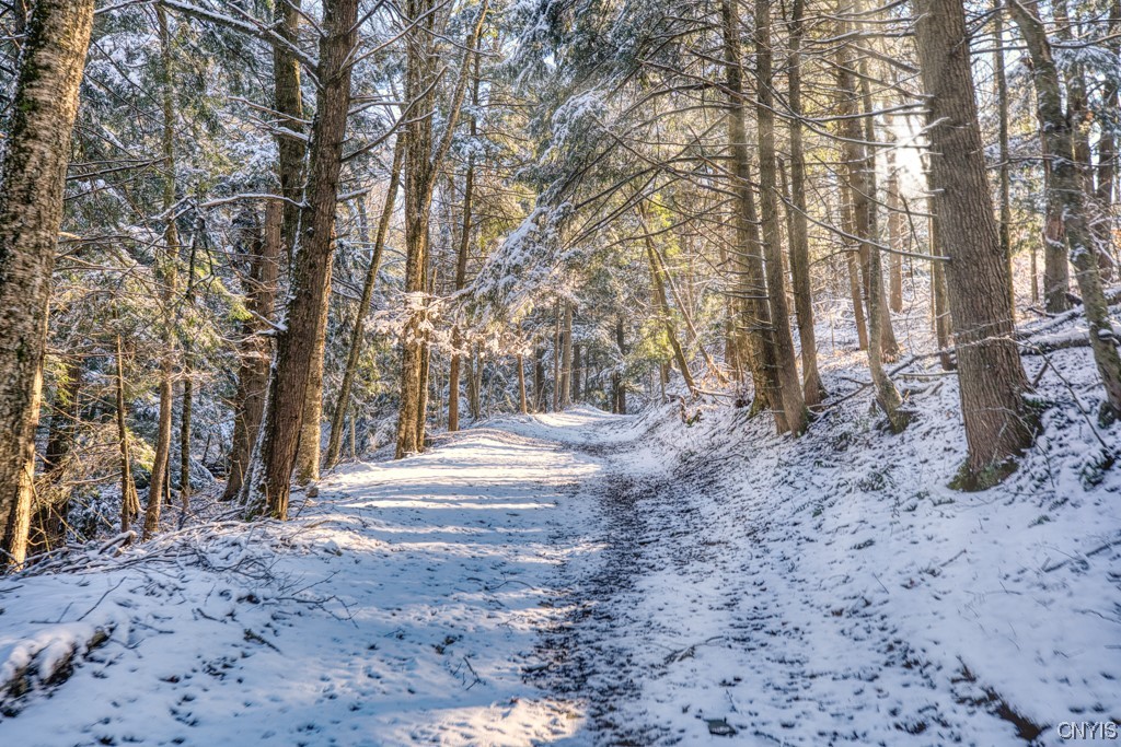 538 State Highway Georgetown, NY 13072 - Photo 47 of 50