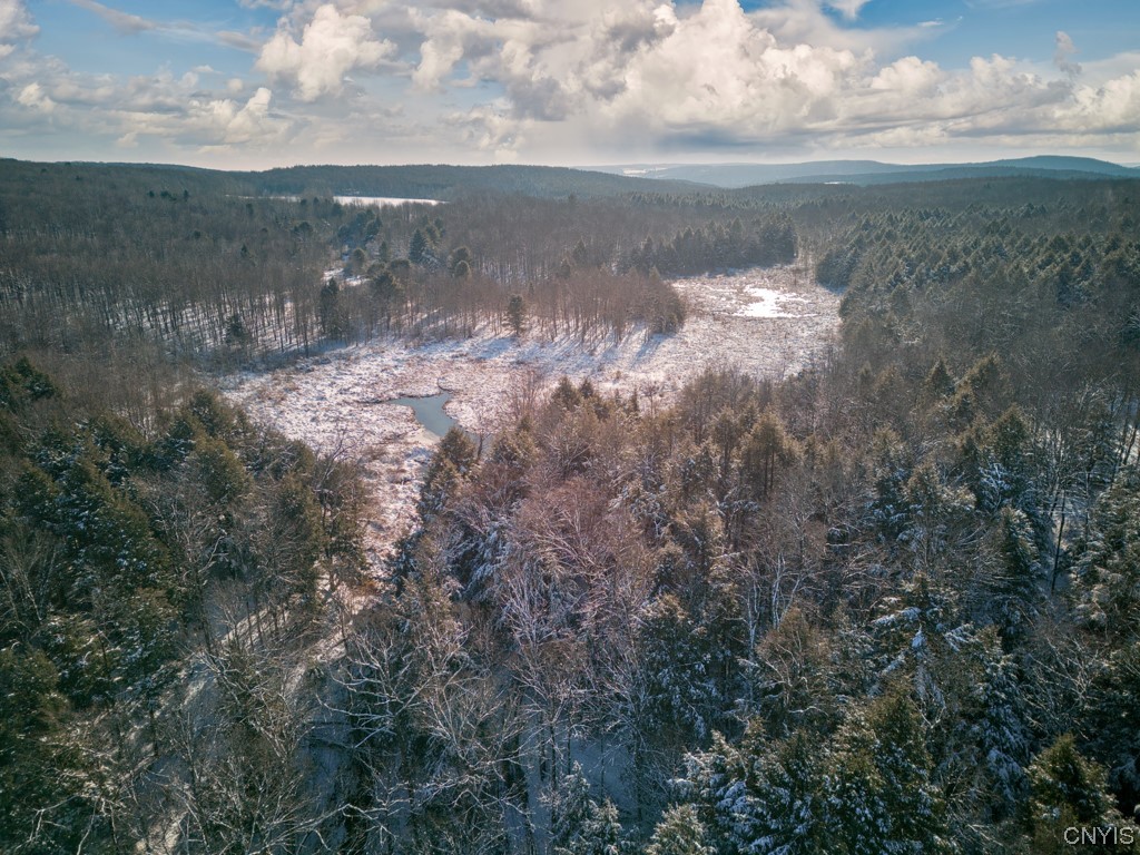 538 State Highway Georgetown, NY 13072 - Photo 49 of 50