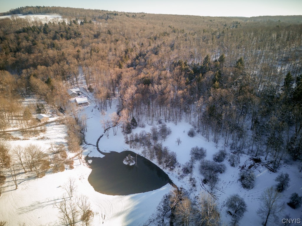 538 State Highway Georgetown, NY 13072 - Photo 5 of 50 220+ acres.