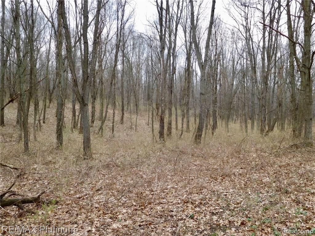 0 West Buno Road Milford, MI 48381 - Photo 9 of 28
