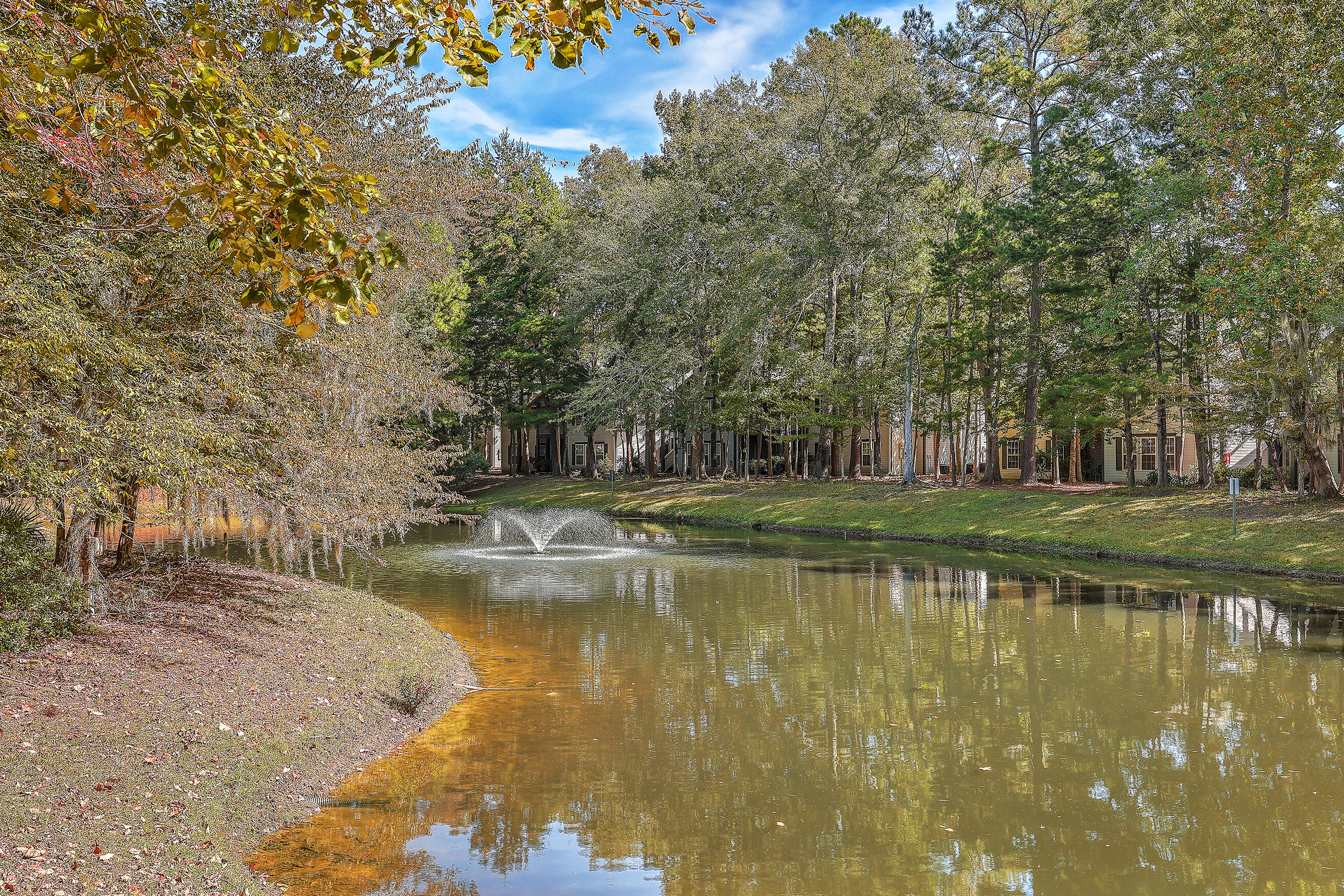 507 South Elgin Court Charleston, SC 29414 - Photo 22 of 29 ZYN_2272_3_4_5_6_7_8