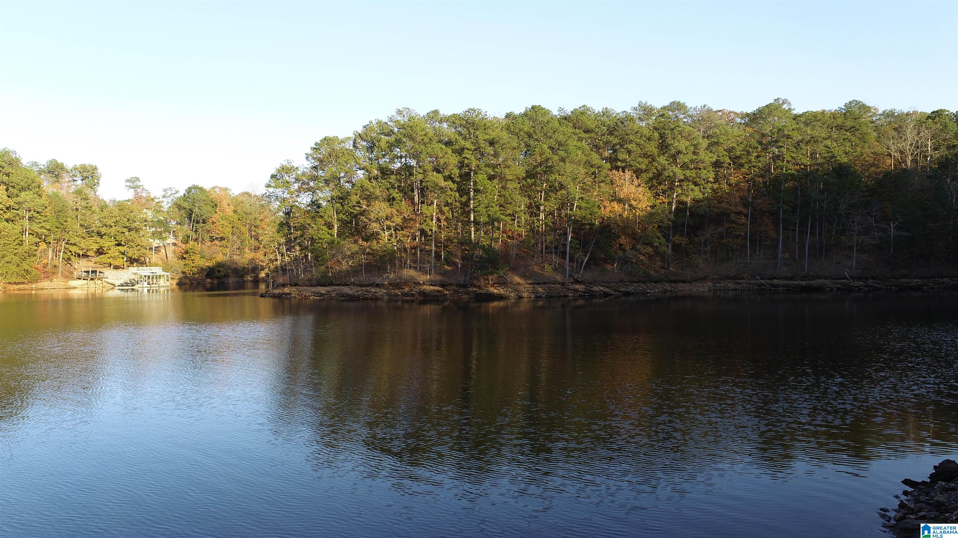 2 County Road 804, Unit 2 Wedowee, AL 36278 - Photo 4 of 6