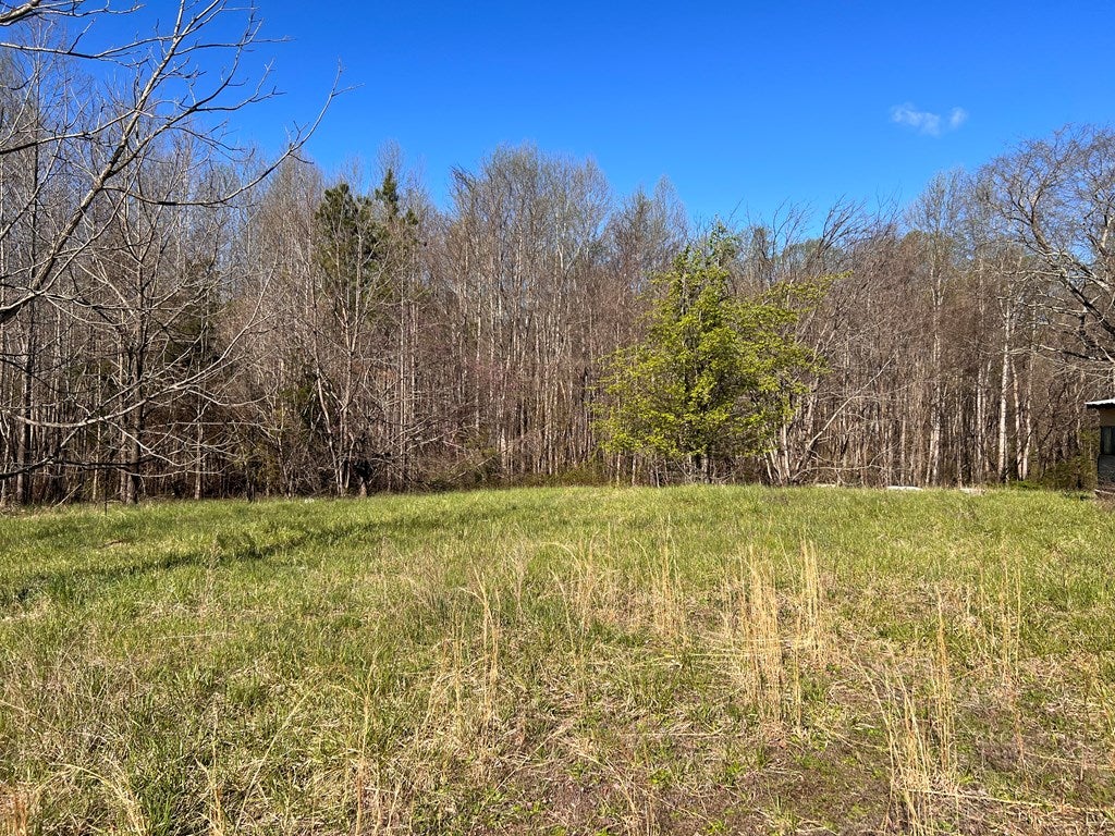 650 Bell Road, Unit 4 Dillwyn, VA 23936 - Photo 5 of 15 Gallery Image 5