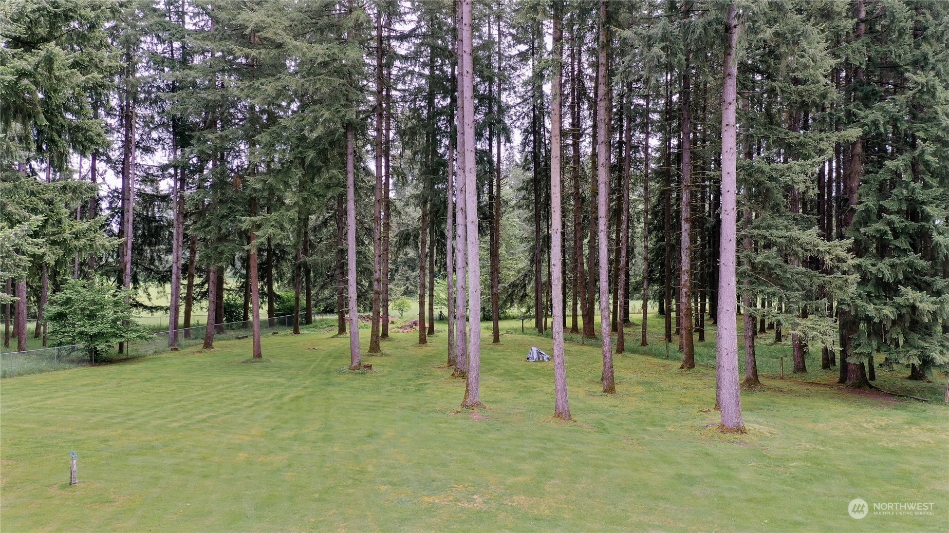 17502 Littlerock Road Southwest Rochester, WA 98579 - Photo 20 of 20 a green field with lots of trees