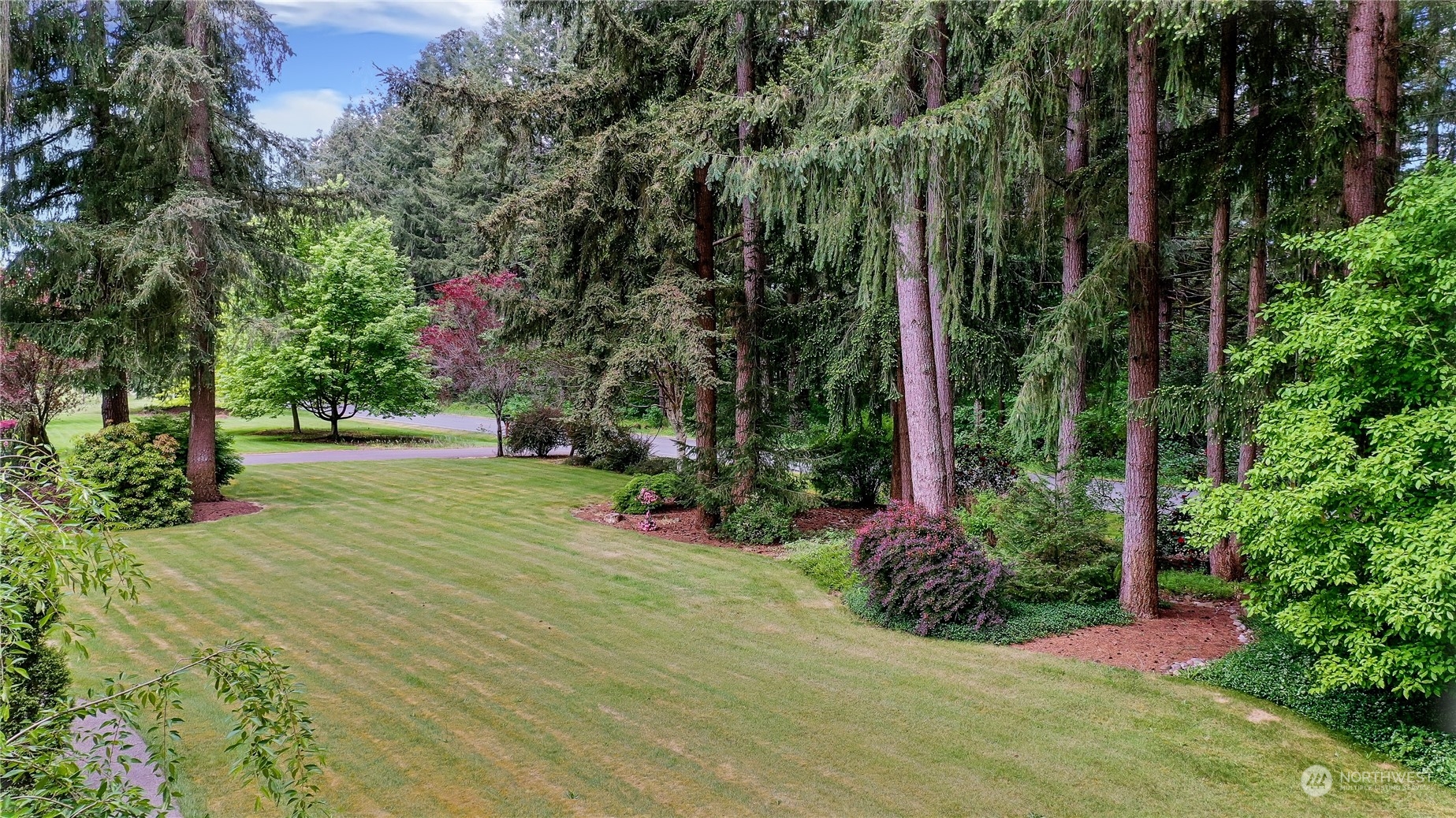 17502 Littlerock Road Southwest Rochester, WA 98579 - Photo 2 of 20 a view of a garden with plants