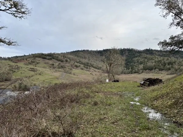 a view of a yard with a sink