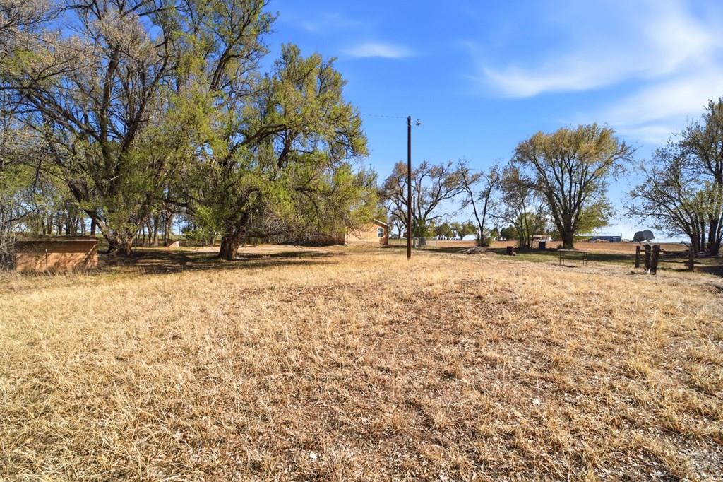 1609 Banner Road Avondale, CO 81022 - Photo 47 of 52 Gallery Image 47