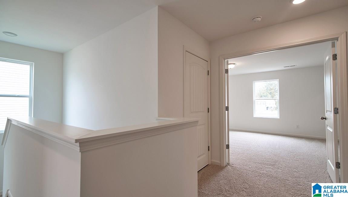 1027 Flyway View Lane Alabaster, AL 35007 - Photo 13 of 20