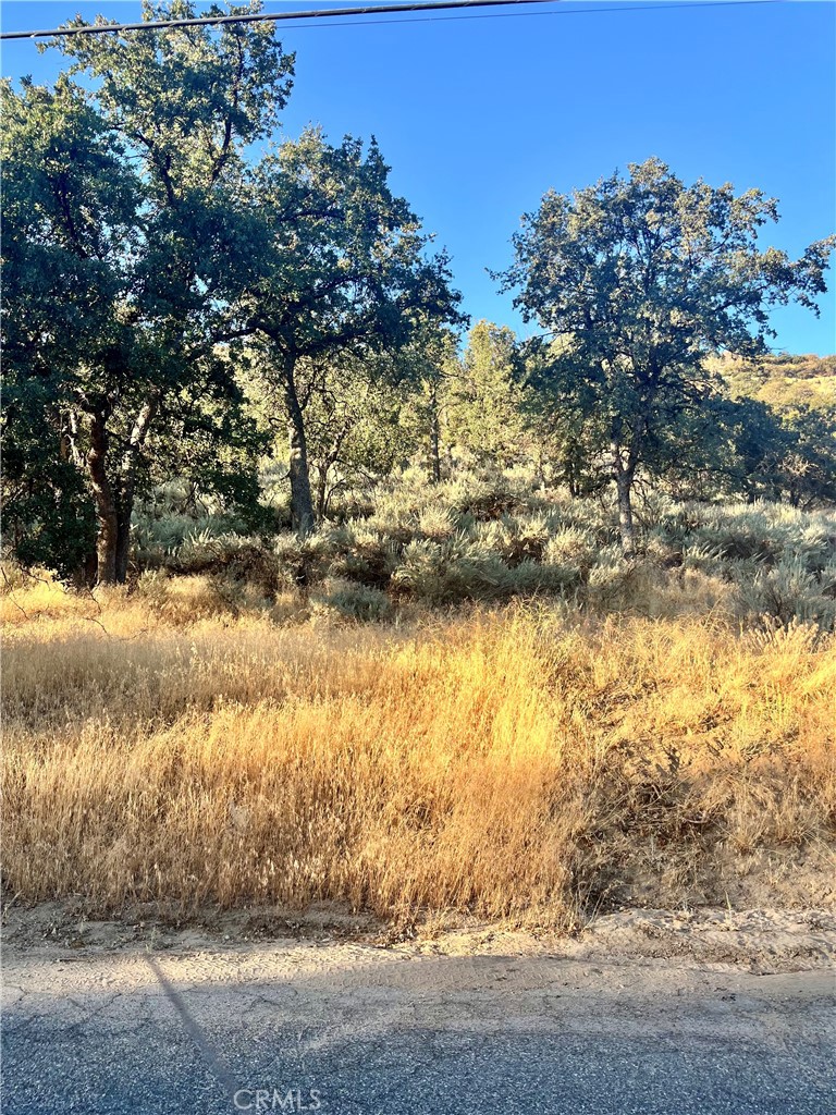 0 Alps Drive Tehachapi, CA 93561 - Photo 2 of 5