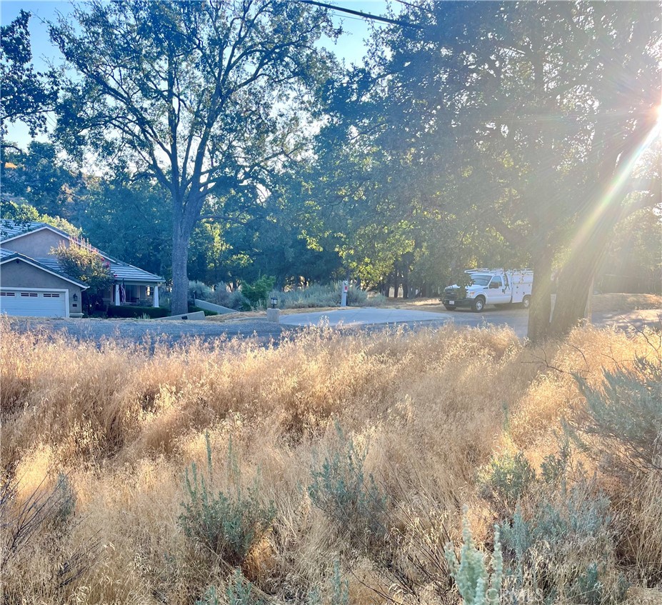 0 Alps Drive Tehachapi, CA 93561 - Photo 3 of 5