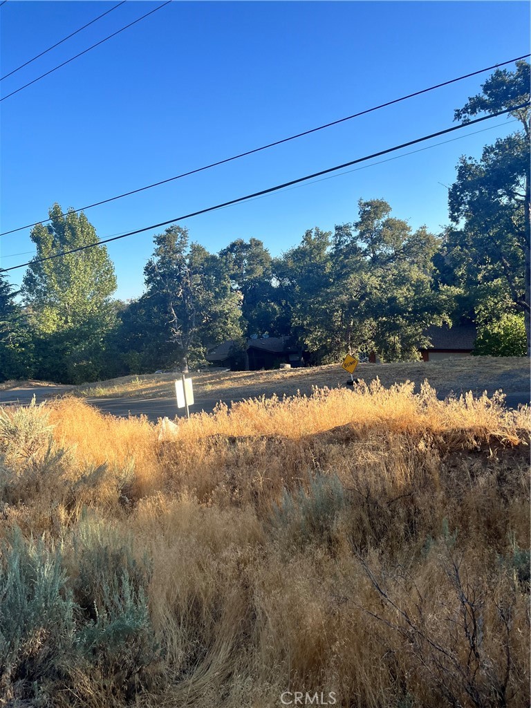 0 Alps Drive Tehachapi, CA 93561 - Photo 4 of 5