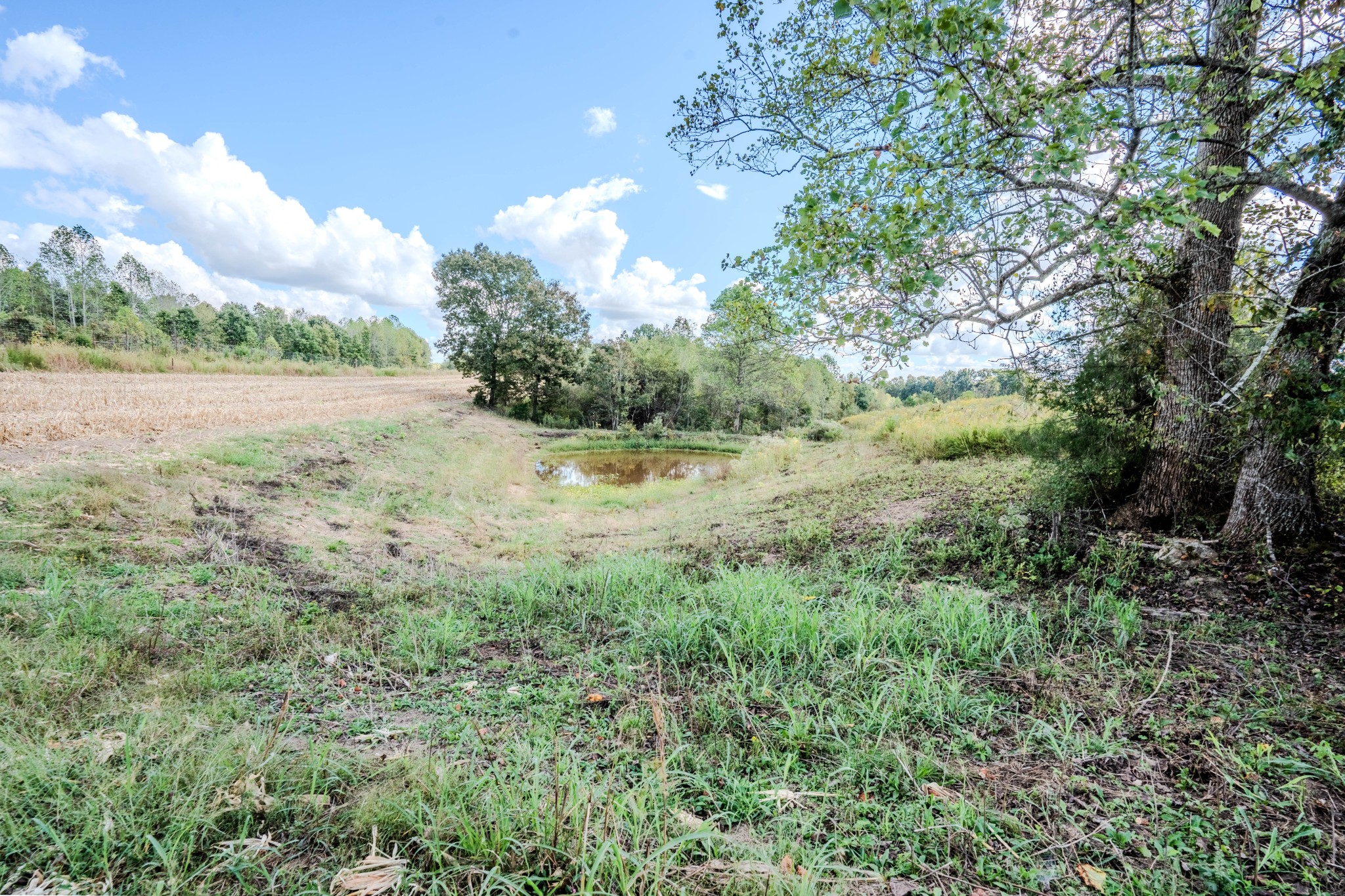 0 South Randall Road Westpoint, TN 38486 - Photo 51 of 79