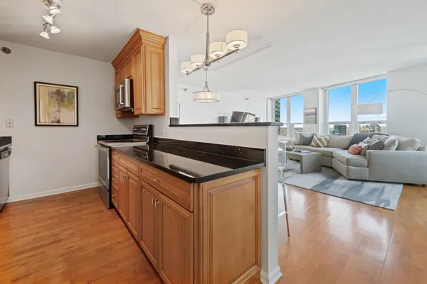 $5,200 | 345 North LaSalle Drive, Unit 3902, Chicago, IL 60654