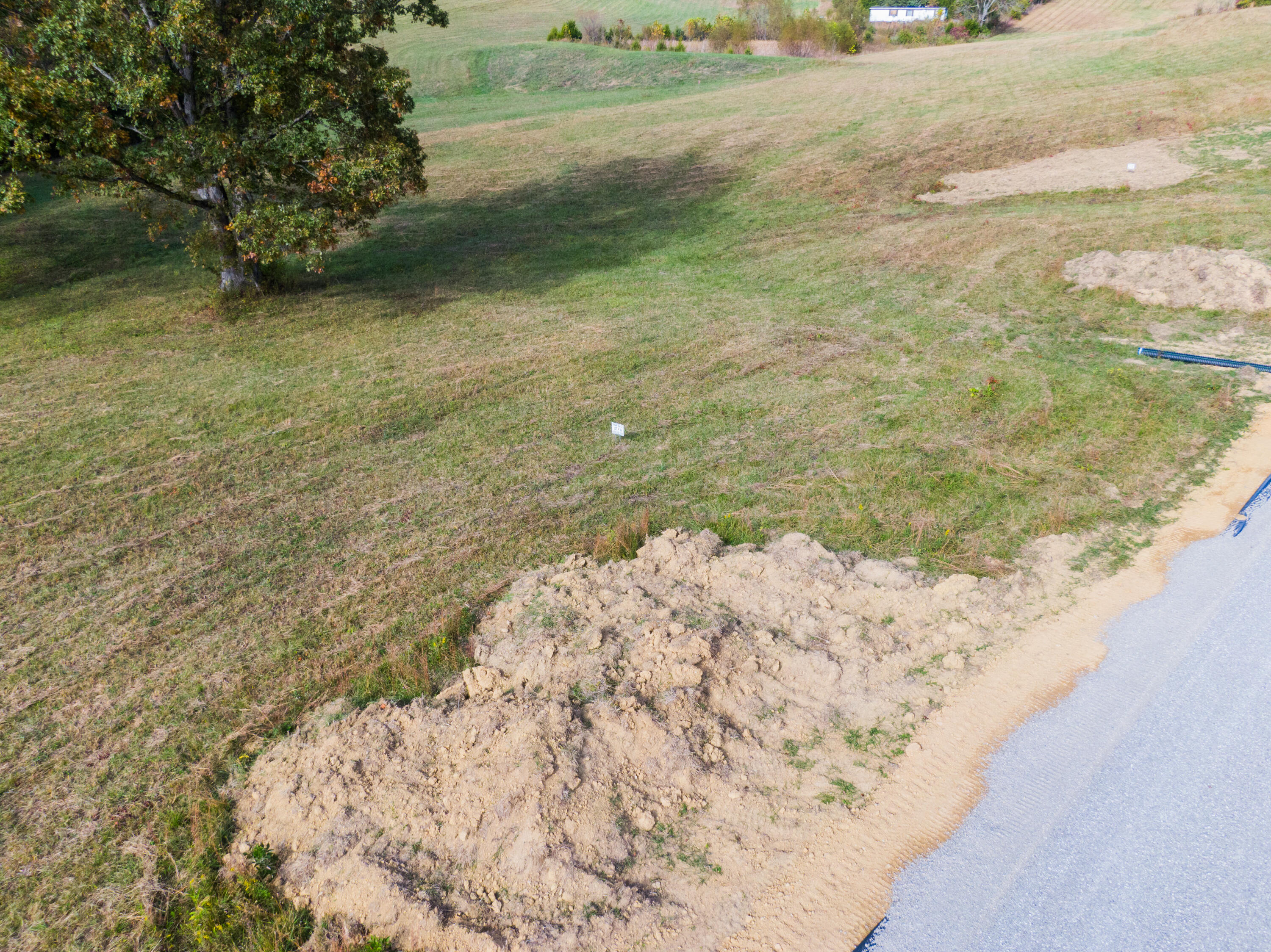 Lot 39 Spring Branch Hollow Road Nancy, KY 42544 - Photo 6 of 6 Nancy Land Photos-13
