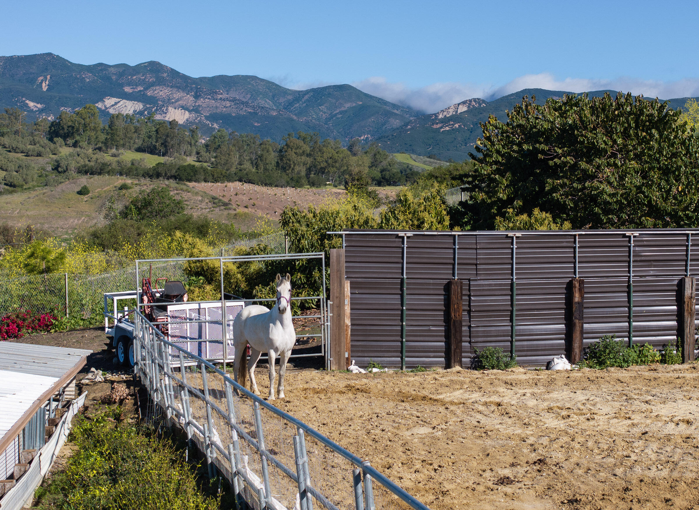 200 Ellwood Ridge Road Goleta, CA 93117 - Photo 41 of 57 Lovely Arena