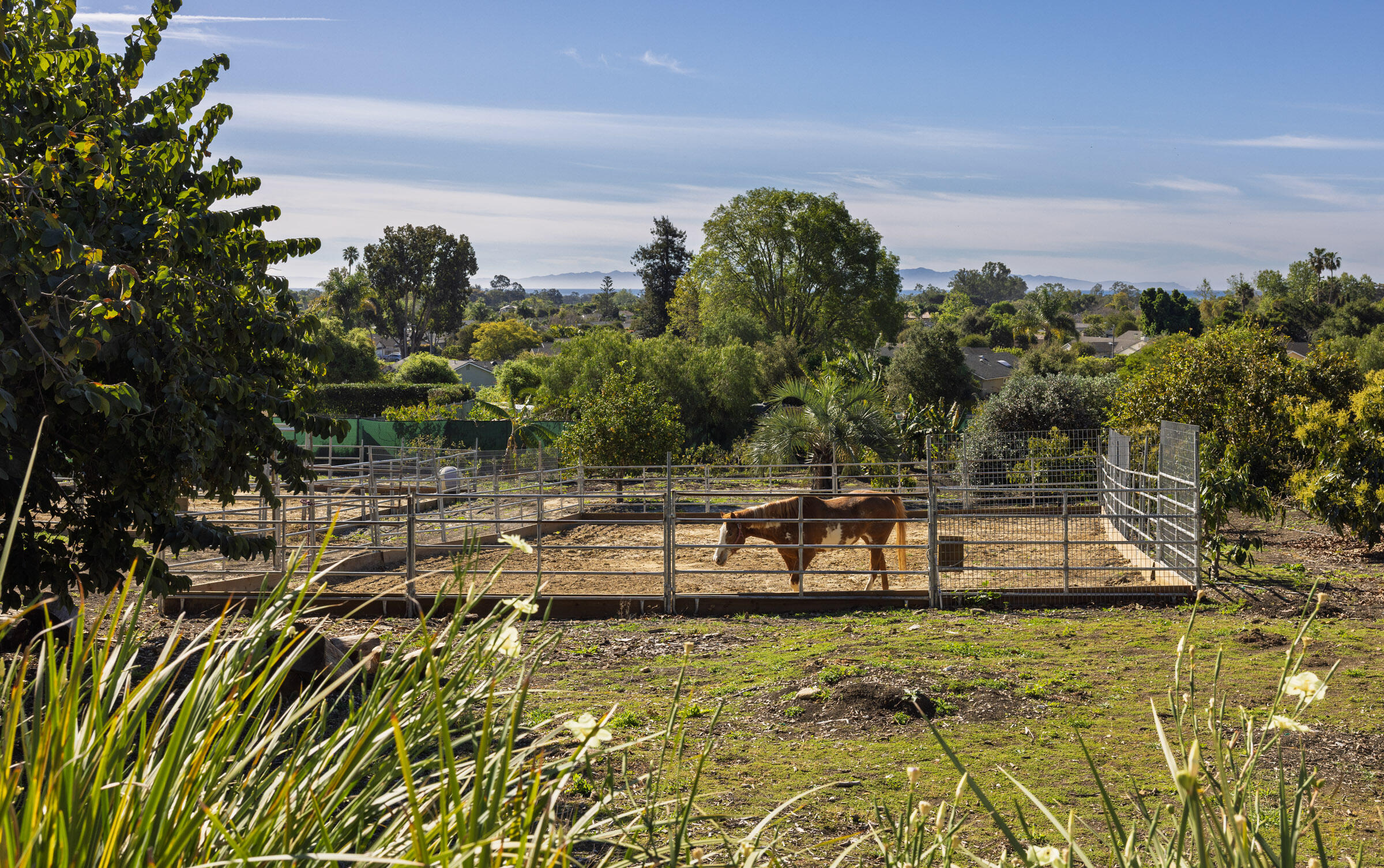 200 Ellwood Ridge Road Goleta, CA 93117 - Photo 42 of 57 1 of 4 Corrals