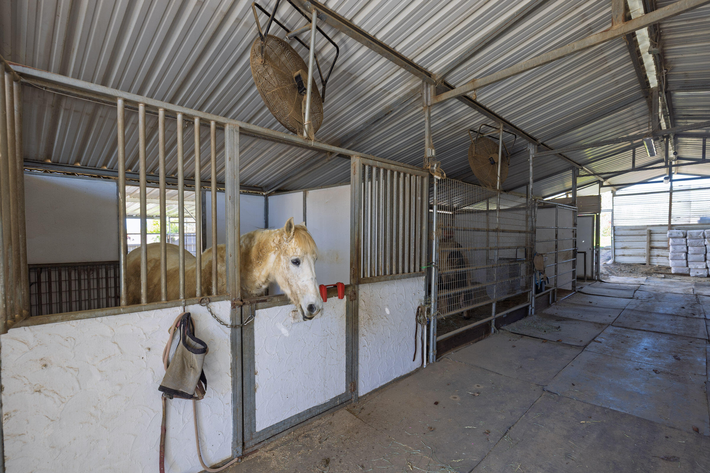 200 Ellwood Ridge Road Goleta, CA 93117 - Photo 47 of 57 5 stall barn w/ tack room