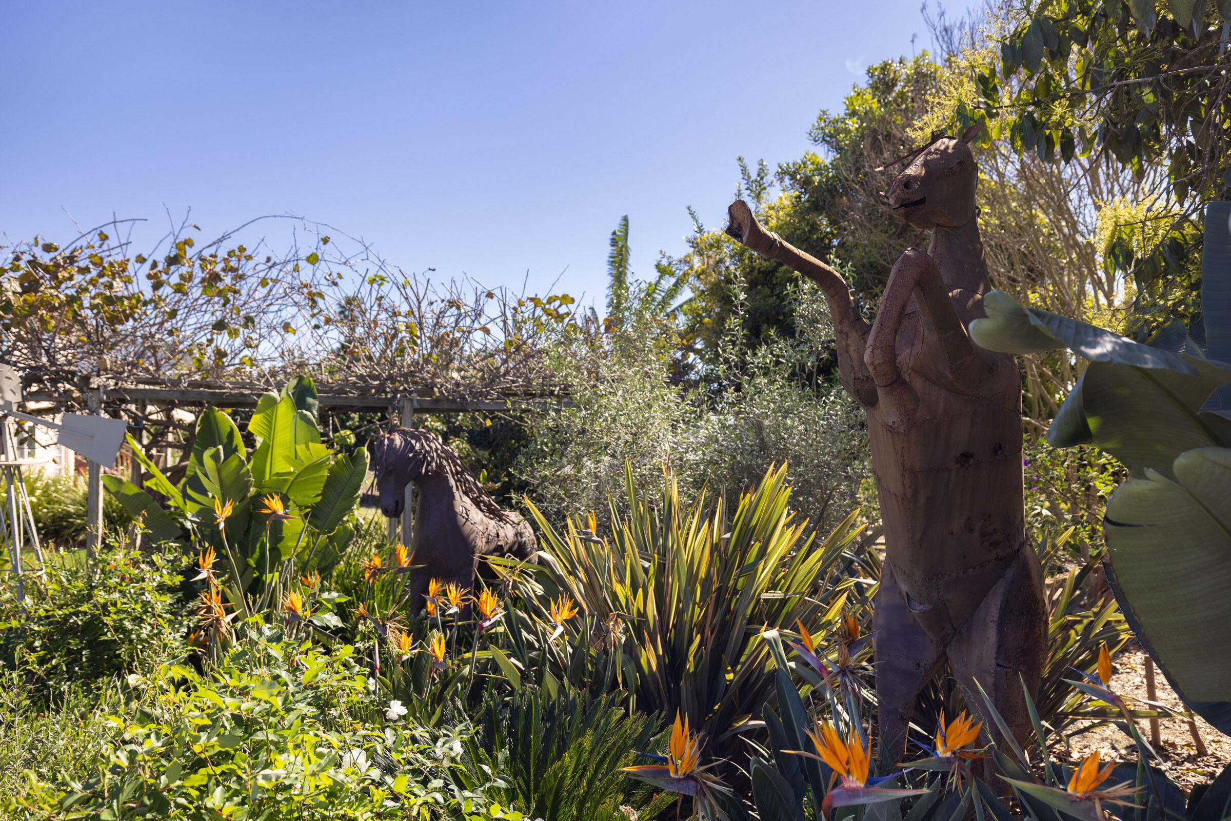 200 Ellwood Ridge Road Goleta, CA 93117 - Photo 51 of 57 Beautiful sculptures