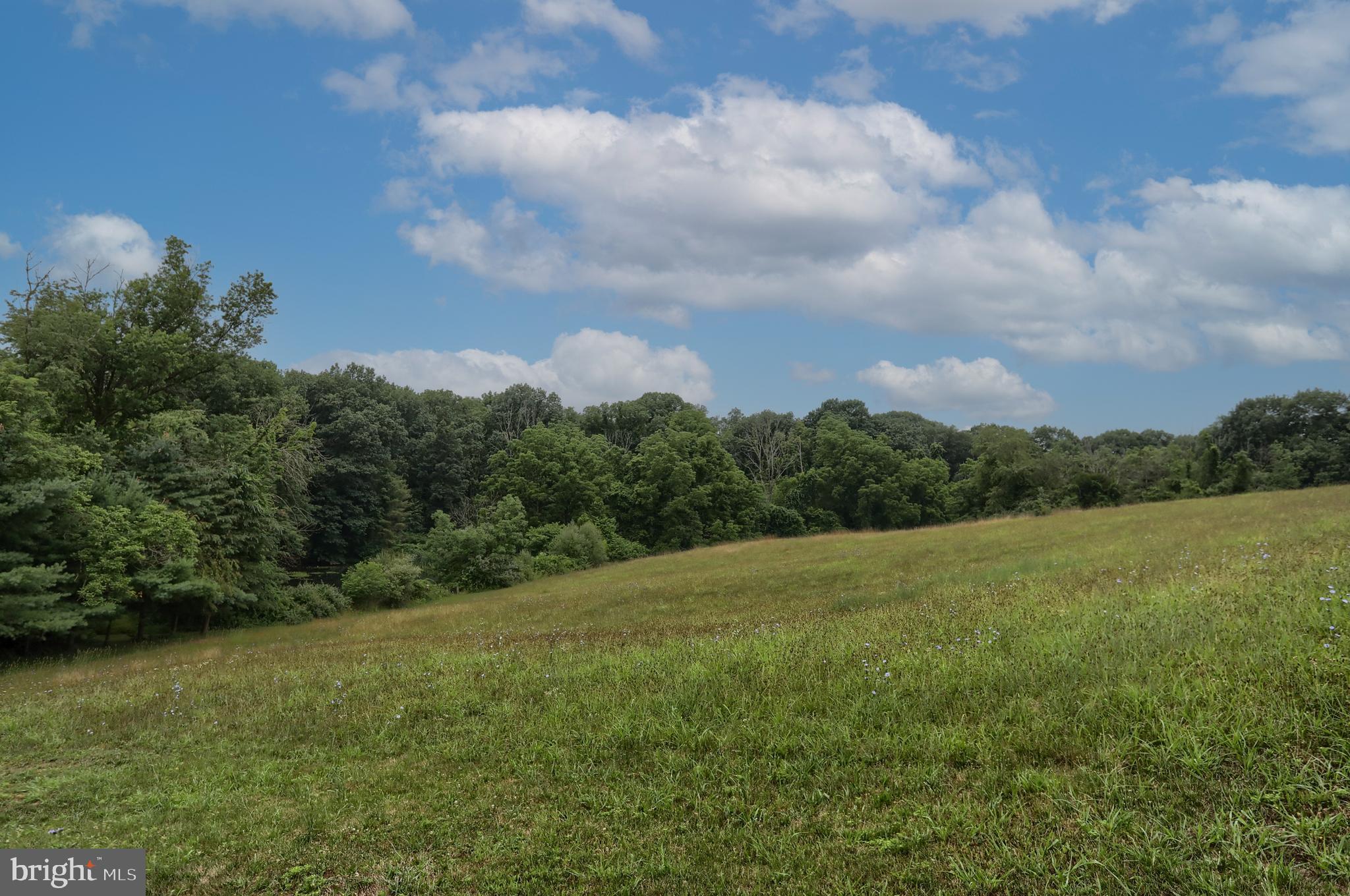 379 Lewis Road Annville, PA 17003 - Photo 51 of 51 Gallery Image 51