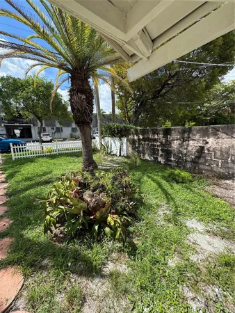 a view of a yard with plants