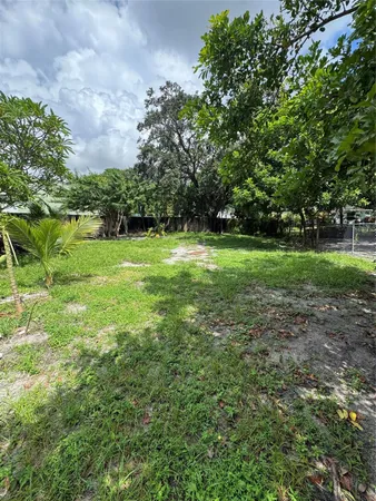 a view of a big yard with plants and large trees