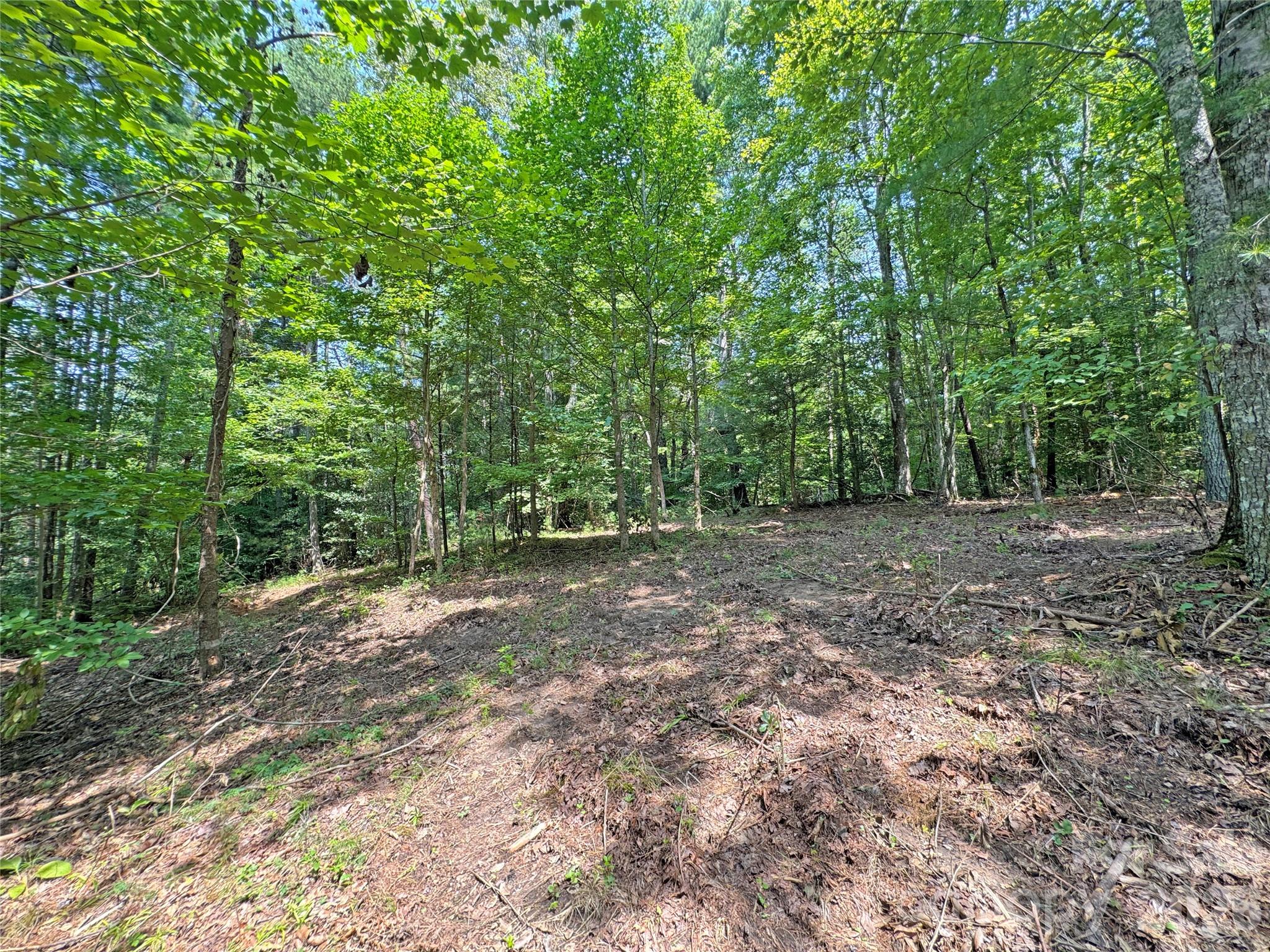 6080 River Road Hot Springs, NC 28743 - Photo 6 of 24 Gallery Image 6