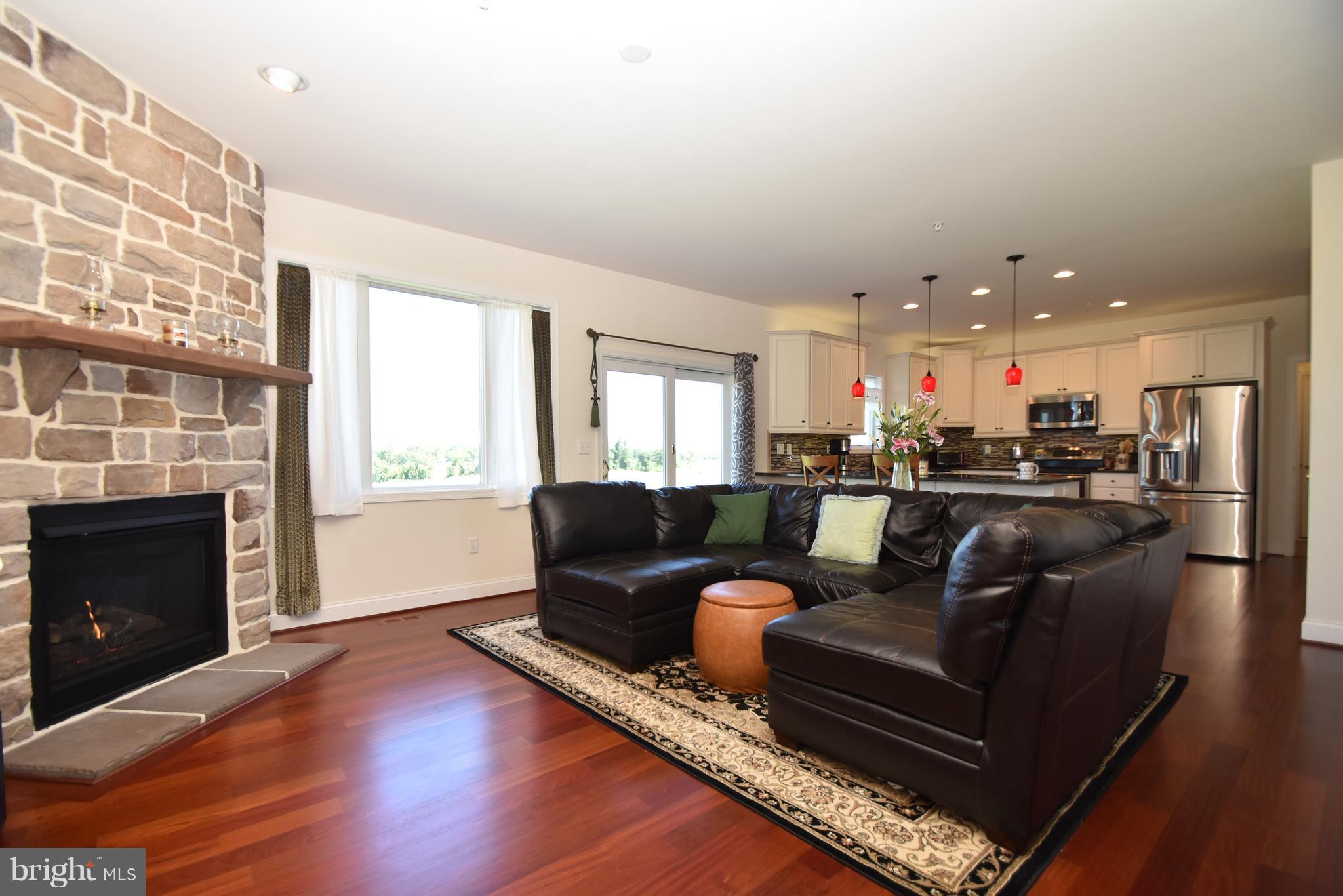 830 Holy Cross Road Street, MD 21154 - Photo 5 of 30 Bright Family Room