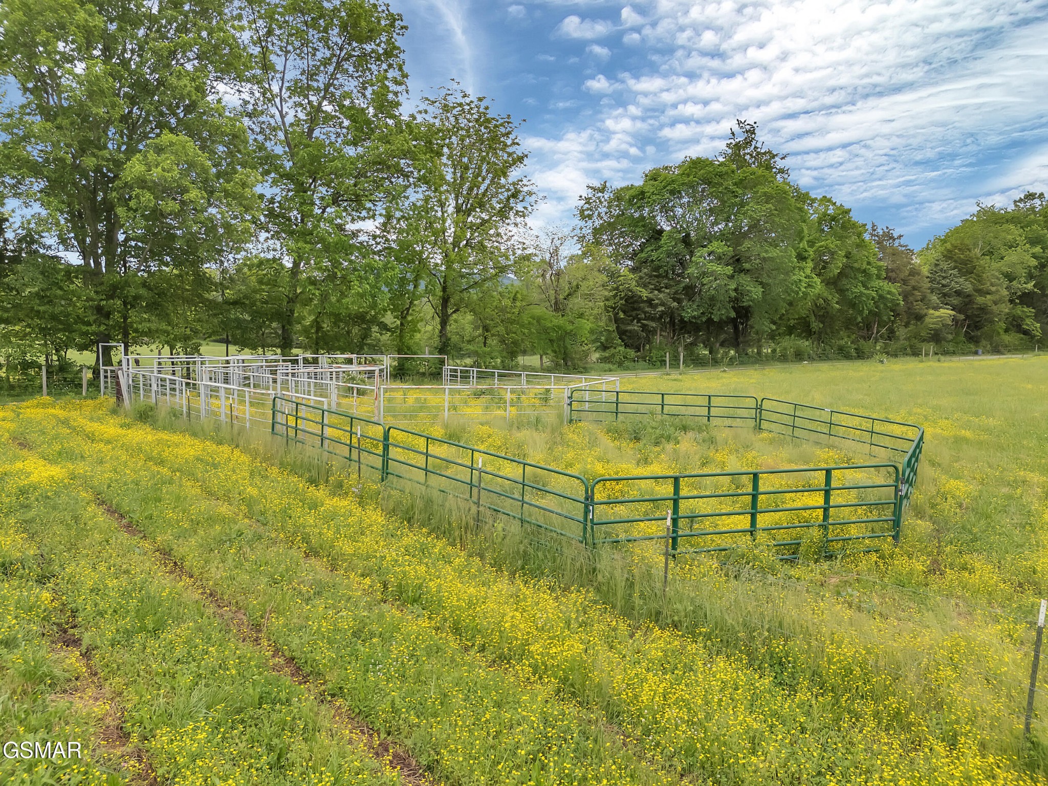 6525 Idumea Road Corryton, TN 37721 - Photo 60 of 64