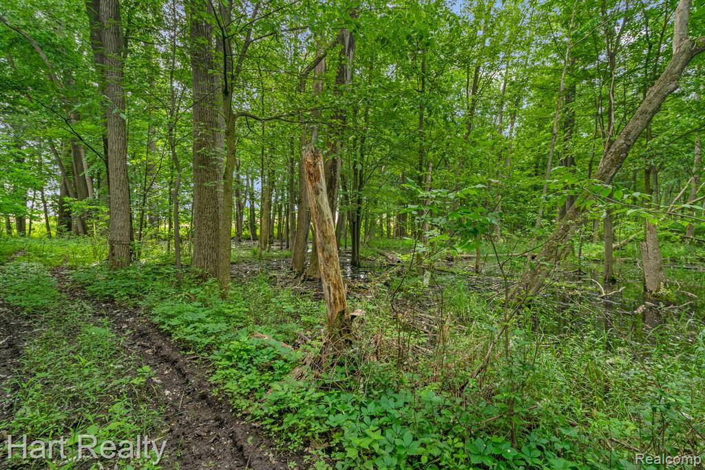 2705 Koylette Road Marlette, MI 48453 - Photo 51 of 73