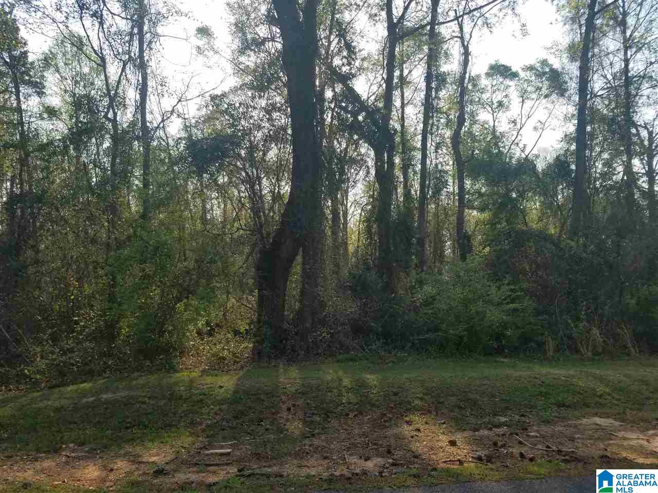 15 North McDowell Road, Unit 15 Clanton, AL 35046 - Photo 1 of 4