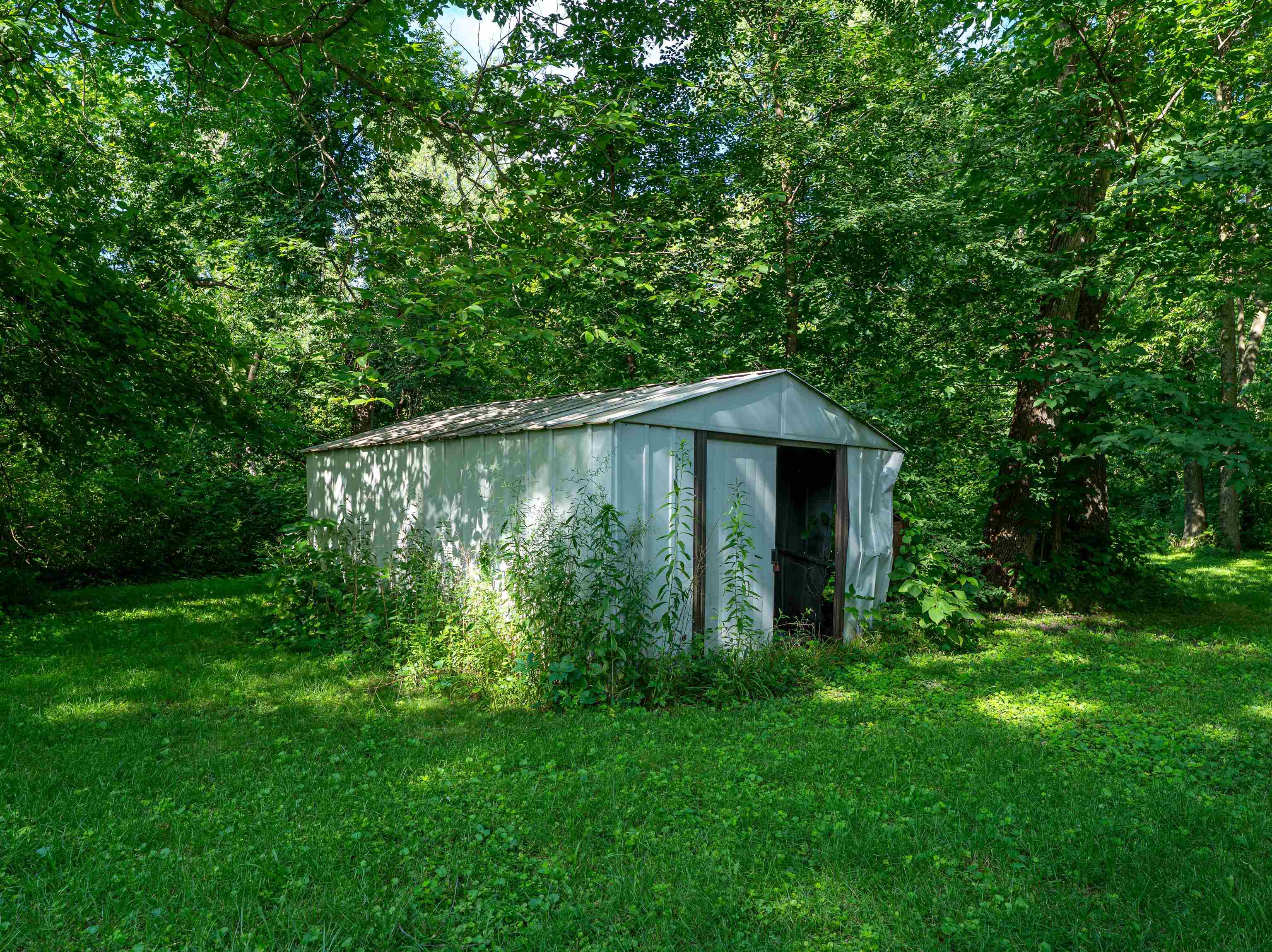 1912 Daysville Road Oregon, IL 61061 - Photo 55 of 74 a backyard of a house with plants and large tree
